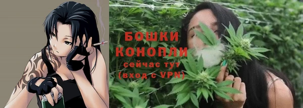 амфетамин Елизово