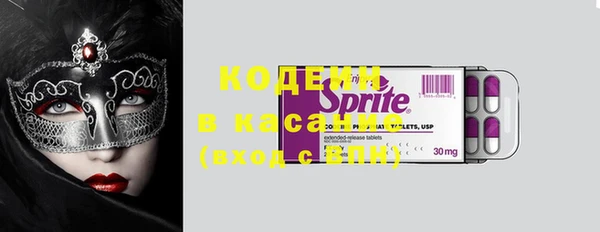 молекула духа Елабуга