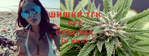 молекула духа Елабуга