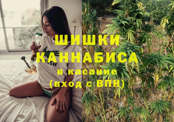 jwh Ельня