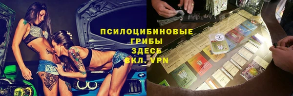 молекула духа Елабуга