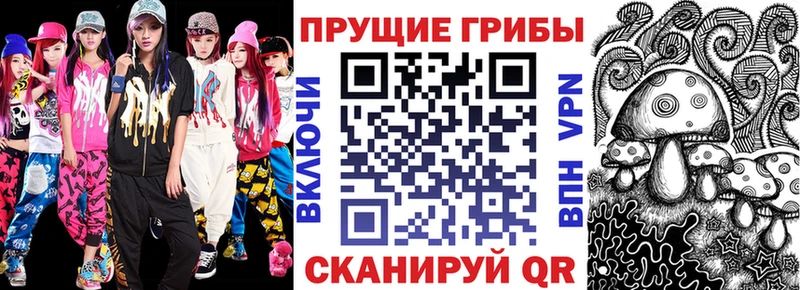 Псилоцибиновые грибы мицелий  Купить где  Новоалександровск 