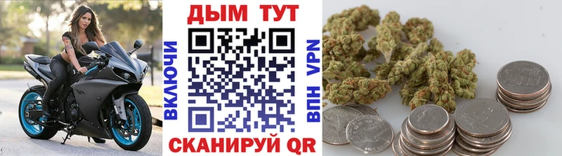 Каннабис семена  Купить где  Новоалександровск 
